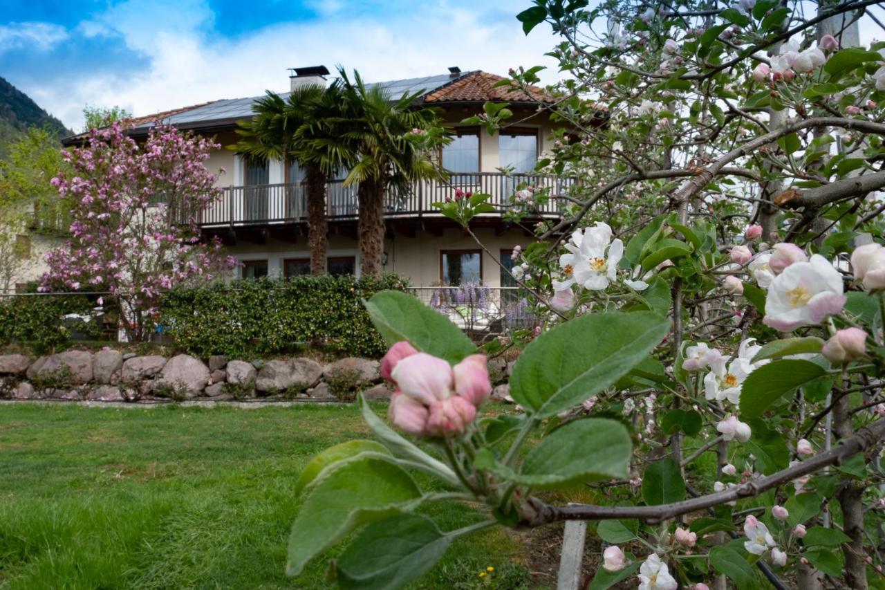 Ansitz Waldner Oberwirt Apartment Marlengo Exterior foto